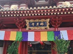-新加坡佛牙寺龙华院