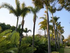 -厦门园林博览苑