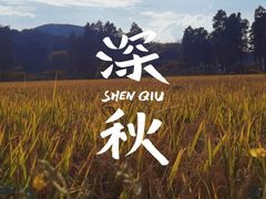 -南北湖风景区