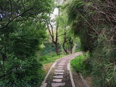 -贵阳市花溪国家城市湿地公园