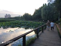 -前关湿地公园