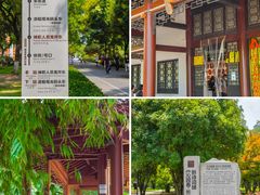 -橘子洲景区