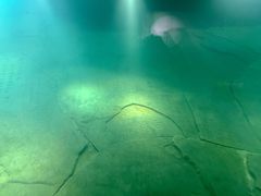 -白鹤梁水下博物馆