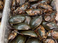 -莫华(锦绣趣园北街店)