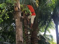 -三亚湾海居铂尔曼度假酒店