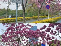 -万科前海企业公馆
