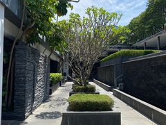 -明谷行馆·温泉