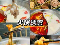 -麻田会 ·鲜活现烹·牛蛙火锅(珠江新城维家思广场店)