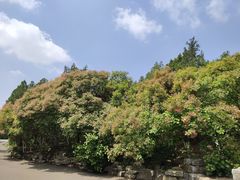 -山东省千佛山医院