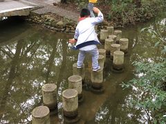 -金孔雀温泉旅游度假村