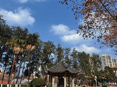 -四川大学(望江校区)