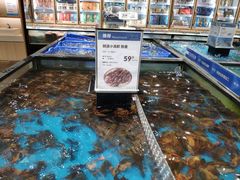 水产区-盒马鲜生(皇庭广场店)