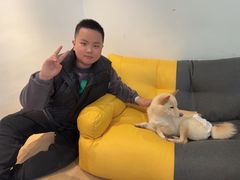 -南京Hallo宠物乐园·哈罗犬舍·柴犬繁育基地