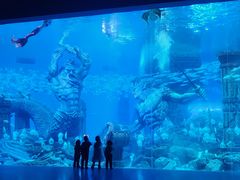 -哈尔滨波塞冬海底世界