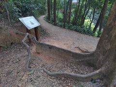-广州市帽峰山景区
