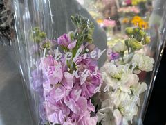 -循礼门鲜花花市(武汉循礼门店)