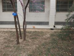 -山东大学(千佛山校区)
