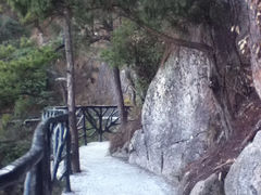 景点-大明山自然探索公园