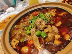 泉水肥肠鸡-雀蓝川菜(星悦汇店)