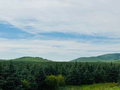 -塞罕坝国家级自然保护区