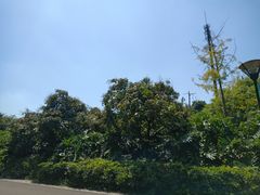 -张坝桂圆林公园