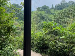 -青城山