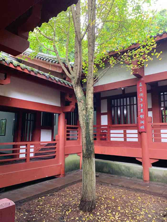 万卷楼景区-"景区不是很大,但是项目很多,有游乐场,和.