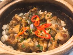 京葱缩骨鱼头-勝記酒家·37年老字号·经典粤菜(荔枝公园店)