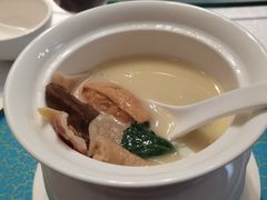 口袋豆腐-松云泽