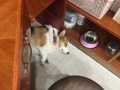 -老四川平头酸菜鱼(衙前店)