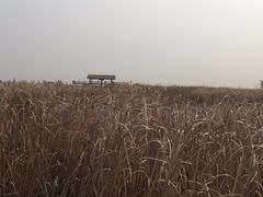 -白洋淀景区