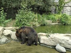 -北京野生动物园