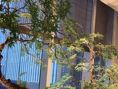 -海立阁海鲜江浙菜(漕河泾印象城店)