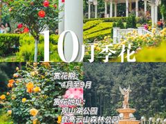 -阿哈湖国家湿地公园