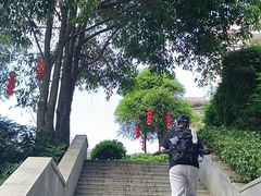-广州市帽峰山景区