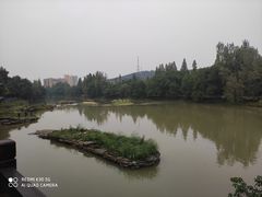 -潜山国家森林公园