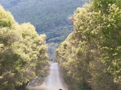 -福清灵石山国家森林公园