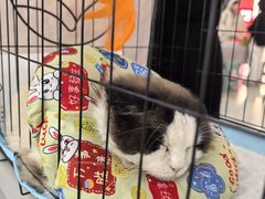 -万达广场(太原街店)