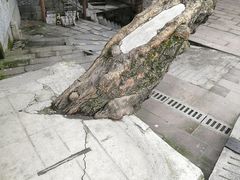 -秦云老太婆摊摊面(磁器口店)