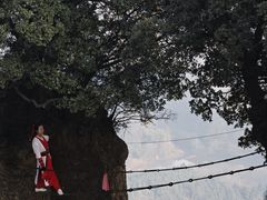 -窦圌山风景区