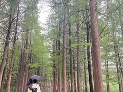 -云龙湖旅游景区