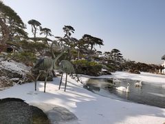 -罗红摄影艺术馆