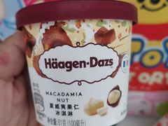 -哈根达斯(石家庄北国店)