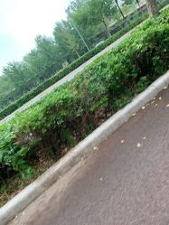-HEYAN长风荷妍专业脱毛美肤
