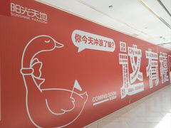 -阳光天地