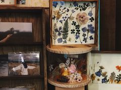 -知物癖(牛王庙店)