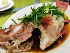 清蒸石斑鱼-盛港湾海鲜食府(黄沙店)