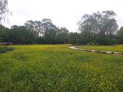 -北坞公园