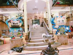 -more than meow吴止猫主题餐厅(承德 中船汇店)