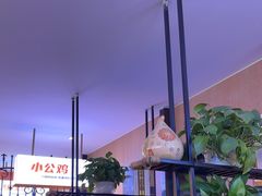 -俭寨大盘芦花土鸡·小公鸡·烧烤新疆菜(云通店)